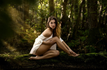 Картинка девушки -unsort+ брюнетки +шатенки лес туника мох лучи ствол бревно деревья плечо шатенка девушка