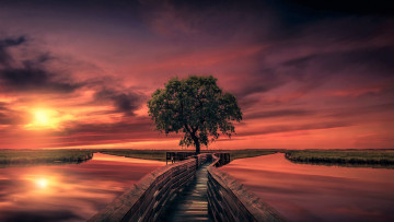 Картинка природа восходы закаты деревянный док дорожка мост озеро горизонт небо закат