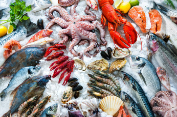 обоя еда, рыба,  морепродукты,  суши,  роллы, лед, свежие, морепродукты, креветки, осьминог, мидии