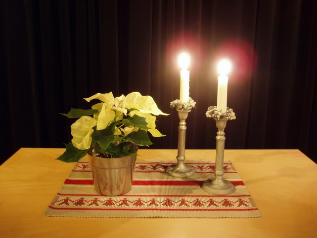 Обои картинки фото candles, and, flower, разное, свечи