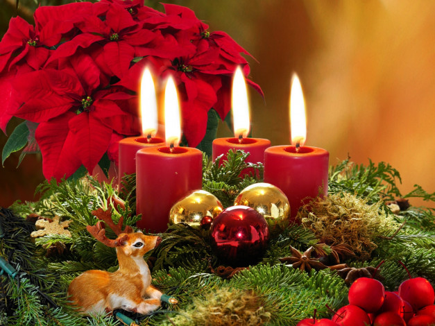 Обои картинки фото праздничные, новогодние, свечи, оленёнок, цветок, олень, пуансеттия, шарики, рождественская, звезда