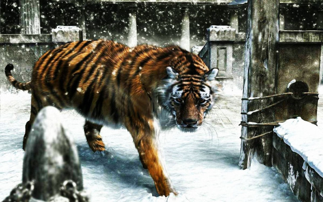Обои картинки фото 3д, графика, animals, животные, тигр
