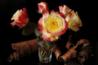 Картинка цветы розы кора букет пестрый
