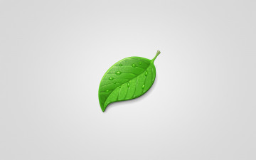 Картинка рисованные минимализм лист leaf зеленый капли светлый фон