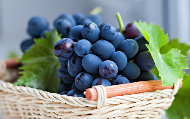 Обои картинки фото еда, виноград, корзинка, листья, ягоды, синий