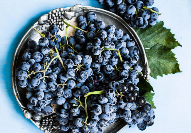 Обои картинки фото еда, виноград, гроздья, синий