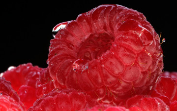 Картинка еда малина ягода-малина raspberry фон