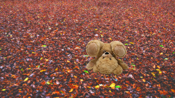 Картинка разное игрушки мишка осень листья