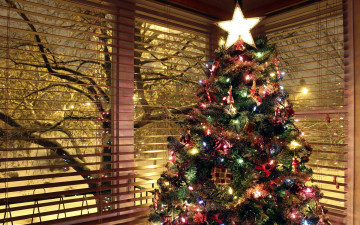 Картинка праздничные Ёлки звезда гирлянды елка игрушки