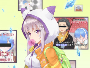 Картинка аниме re +zero+kara+hajimeru+isekai+seikatsu emilia rem