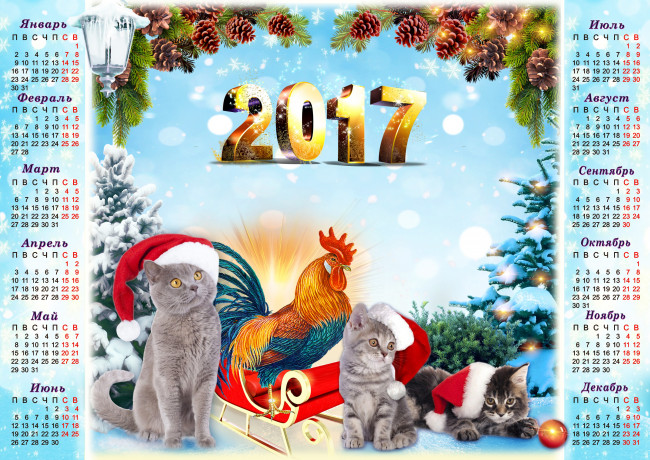 Обои картинки фото календари, животные, 2017, год, фон, петуха, серые, календарь, ели, голубой, котята