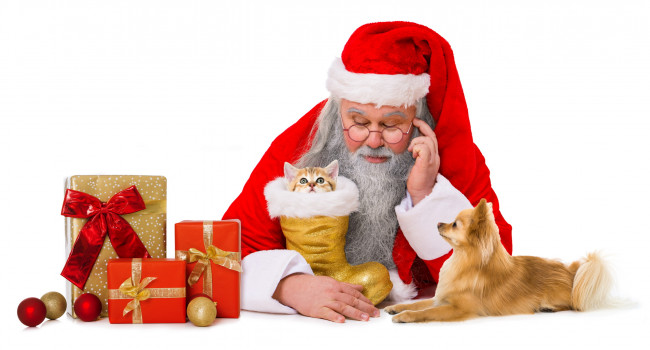Обои картинки фото праздничные, дед мороз,  санта клаус, санта, подарки, кот, собака