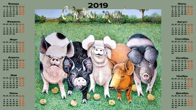 Обои картинки фото календари, праздники,  салюты, свинья, поросенок, трава