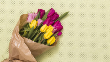 Картинка цветы тюльпаны букет бутоны разноцветные