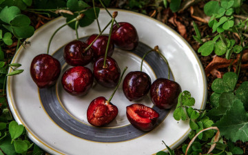 Картинка еда вишня +черешня ягоды вишни миска