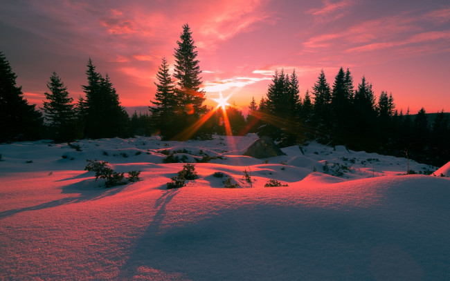 Обои картинки фото природа, зима, закат, вечер, снег, ели, небо, отражение, свечение, красота, пейзаж