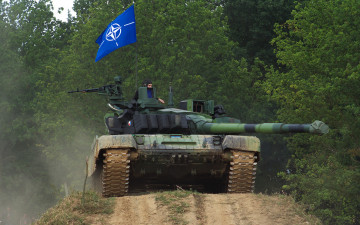 Картинка техника военная лес дорога танк