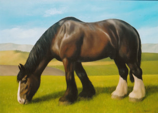 обоя рисованные, животные, лошади, лето, трава, лошадь