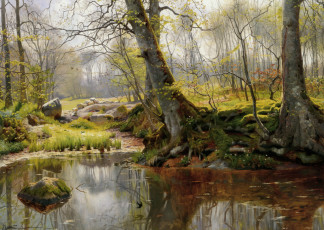 Картинка рисованные peder mork monsted корни деревья озеро лес камни отражение мох