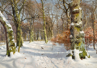 Картинка рисованные peder mork monsted кора деревья зима парк роща снег свет следы вороны птицы мох