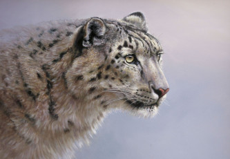 Картинка рисованные colin richens фон взгляд кошка дикая хищник ирбис снежный барс
