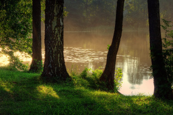 Картинка варшава+польша природа реки озера деревья трава река варшава польша
