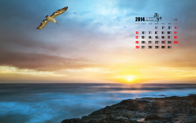 Обои картинки фото календари, природа, чайка, море