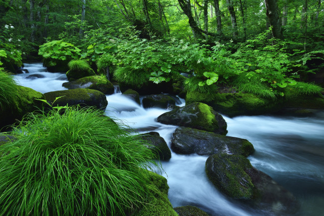 Обои картинки фото природа, реки, озера, поток, трава, зелень