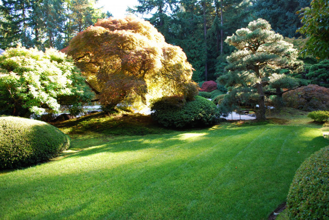 Обои картинки фото portland japanese garden, природа, парк, сша, орегон, портленд, кусты, трава