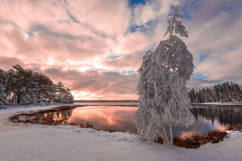 Картинка природа зима снег дерево snow озеро tree lake зимний пейзаж winter landscape