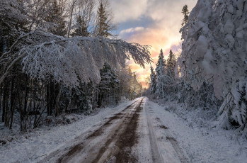 обоя природа, дороги, деревья, снег, road, winter, trees, snow, дорога