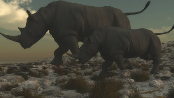 Картинка 3д+графика животные+ animals носороги