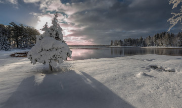 Картинка природа зима озеро winter landscape snow lake tree зимний пейзаж снег дерево