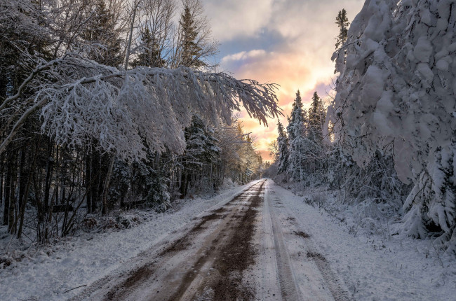 Обои картинки фото природа, дороги, деревья, снег, road, winter, trees, snow, дорога
