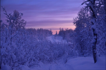 Картинка природа зима закат снег деревья дорога пейзаж