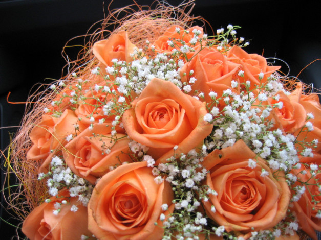 Обои картинки фото цветы, букеты, композиции, розы, гипсофила, оранжевый