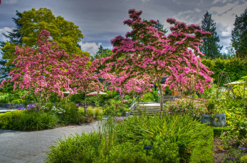 Картинка vandusen botanical garden vancouver канада природа парк растения сад