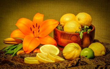 Картинка еда цитрусы лилия лимоны
