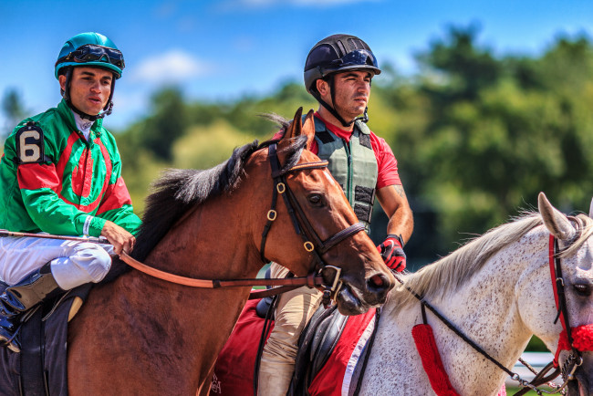 Обои картинки фото спорт, конный спорт, лошади, жокеи
