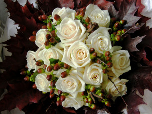 Картинка цветы букеты +композиции розы фото белый букет