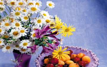 Картинка цветы букеты +композиции ромашки тарелка букет