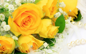 Картинка цветы розы жёлтые макро