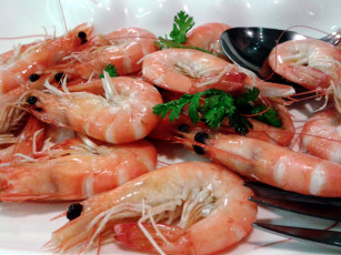 Картинка еда рыба +морепродукты +суши +роллы зелень креветки