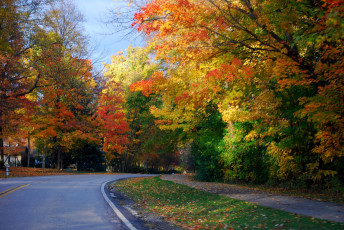 Картинка природа дороги шоссе поворот осень