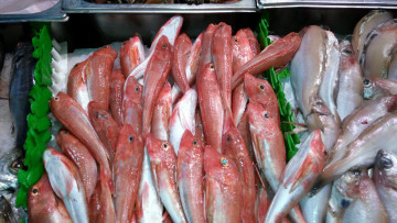 Картинка еда рыба +морепродукты +суши +роллы свежая