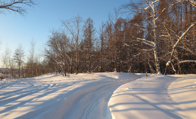Обои картинки фото природа, дороги, дорога, деревья, снег