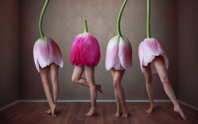 Обои картинки фото юмор и приколы, тюльпаны, цветы, ножки, танец