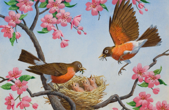 Обои картинки фото рисованное, животные,  птицы, фрагмент, arthur, saron, sarnoff, птичка, весна, гнездо, арт, цветы