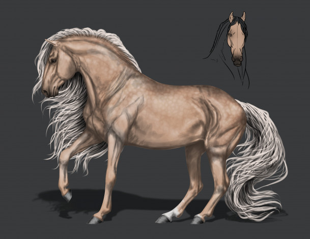 Обои картинки фото рисованное, животные,  лошади, грива, конь, фон
