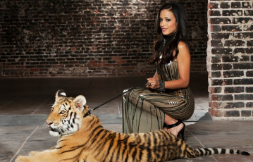 Картинка layla+sin девушки layla sin девушка модель брюнетка красотка взгляд макияж платье кирпич стена животное тигр тигрёнок